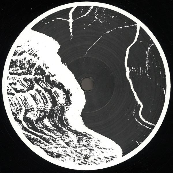 Staim — Beginning vinyl cover