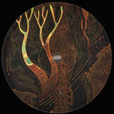 Steevio — Dod yn ôl at fy nghoed vol.1 vinyl cover