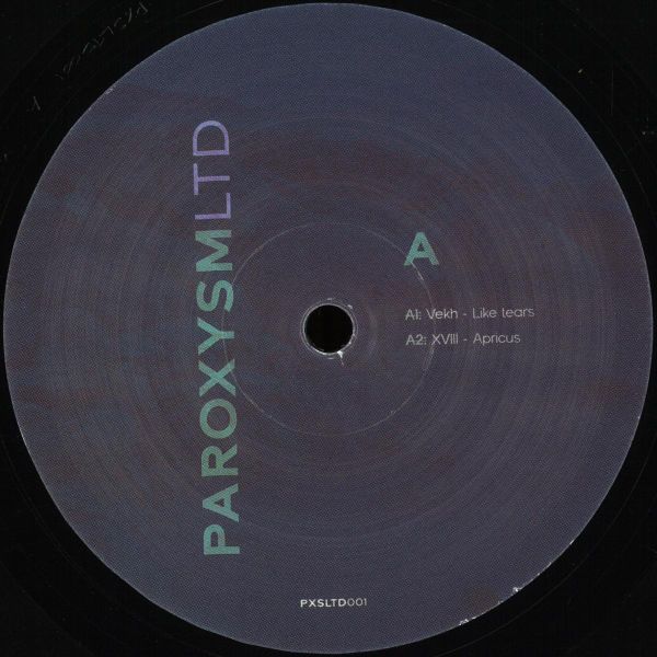 Unknown Artist — Like Tears In The Rain - No Cover vinyl cover