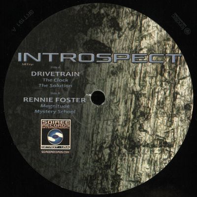 Drive Train, Rennie Foster — Introspect vinyl cover