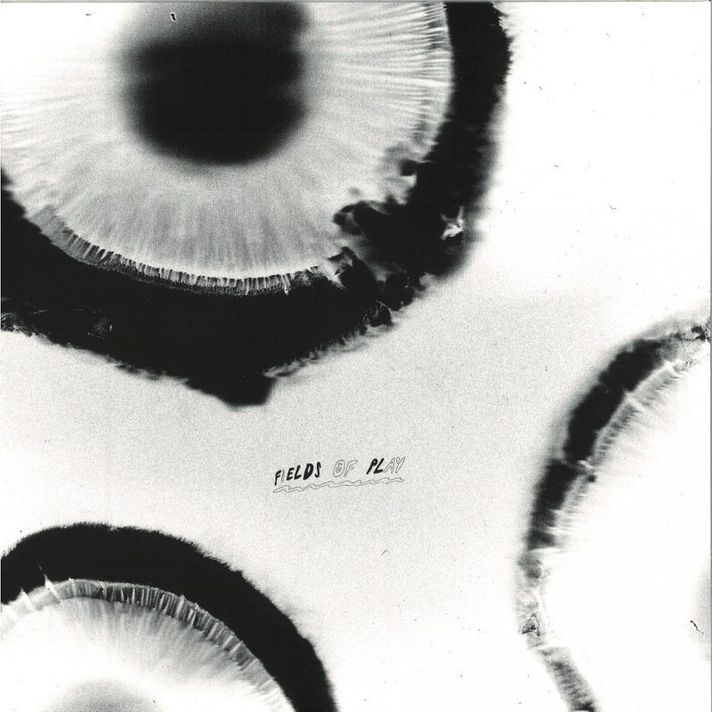 Anatta — FIELDS OF PLAY vinyl cover