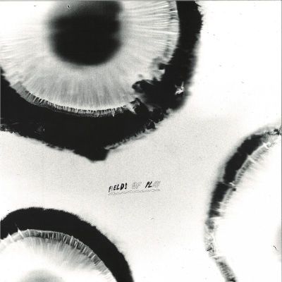 Anatta — FIELDS OF PLAY vinyl cover
