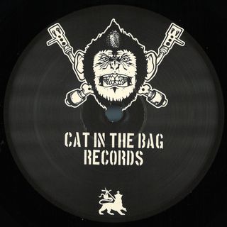 Cat In The Bag