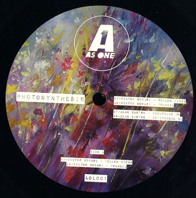 Viktor Udvari, Alan Castro — Photosynthesis vinyl cover
