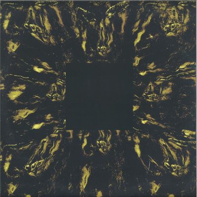 Hoavi — Architectonics LP vinyl cover