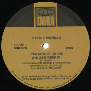 Stevie Wonder — Paradise / Pastime Paradise (House Remixes) vinyl cover
