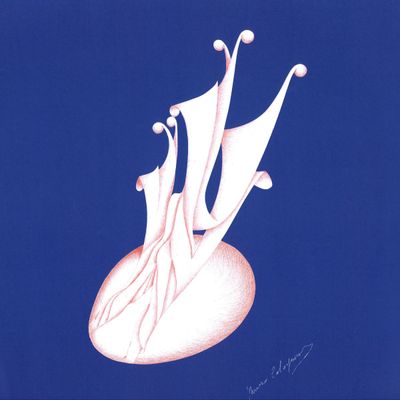 Neonats, Philosopher — Black Magnetic EP vinyl cover