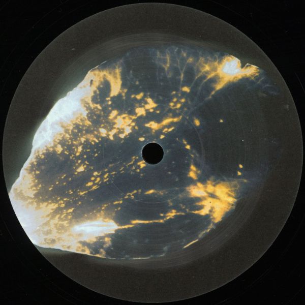 Hydergine — Entangle vinyl cover