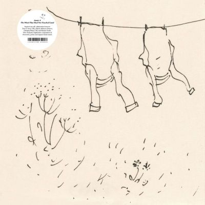 Annie A — The Wind That Had Not Touched Land (LP+Inserts) vinyl cover