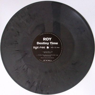 Roy — DESTINY TIME vinyl cover