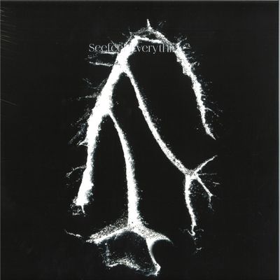 Seefeel — Everything Sqared MLP vinyl cover