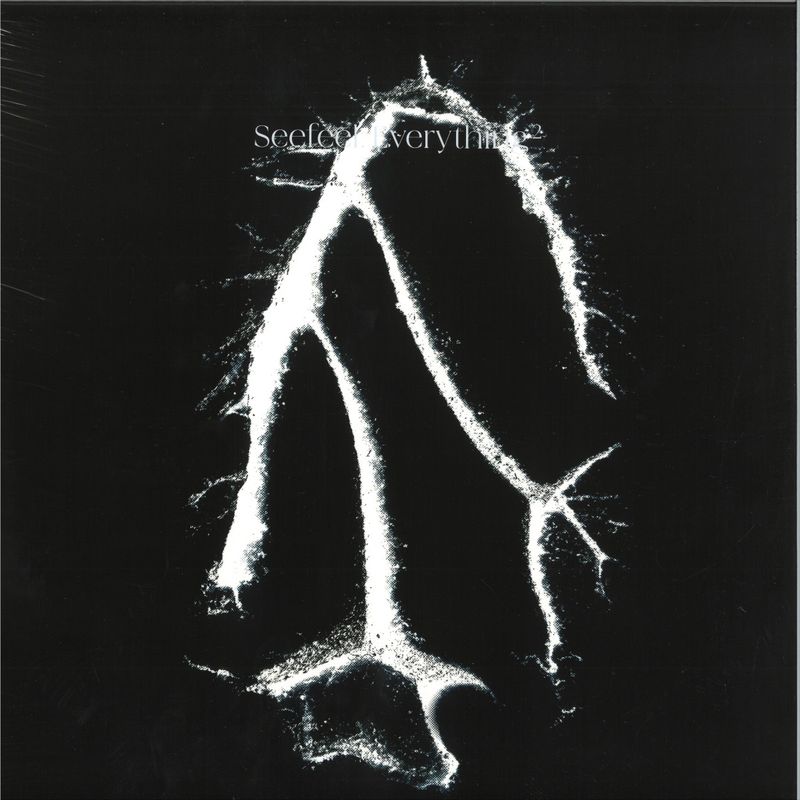 Seefeel — Everything Sqared MLP vinyl cover