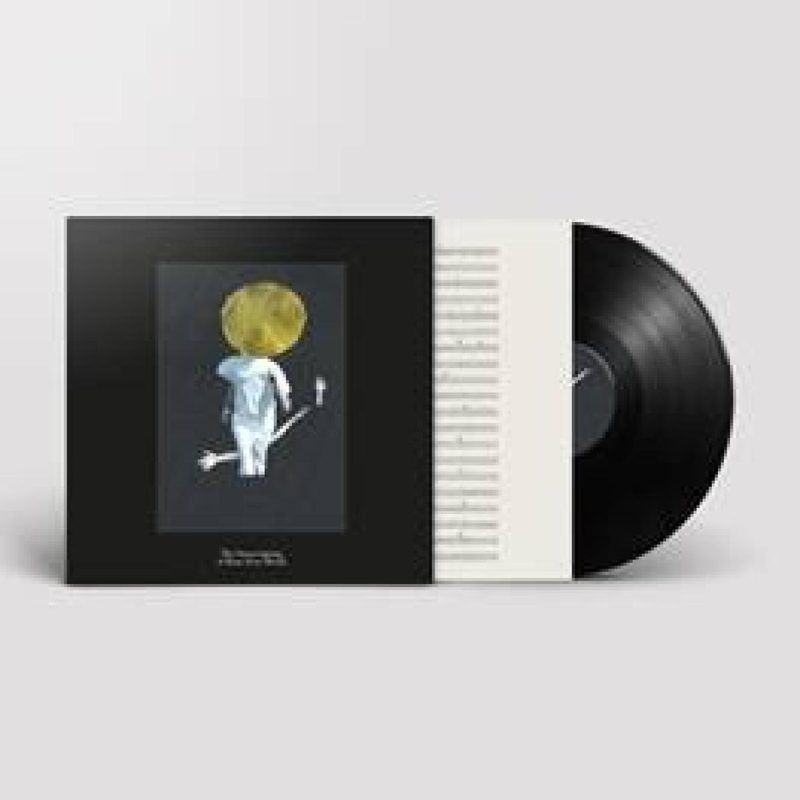 The Vernon Spring — A Plane Over Woods LP vinyl cover
