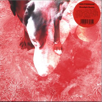 Ann Eysermans — MOONLIGHT SHADOH LP vinyl cover