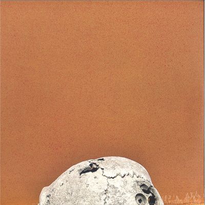 Skee Mask — Resort LP 2x12" vinyl cover