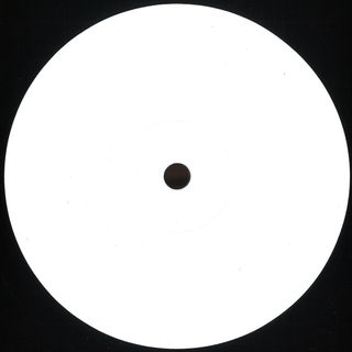 Rico Puestel — Endless Summer vinyl cover