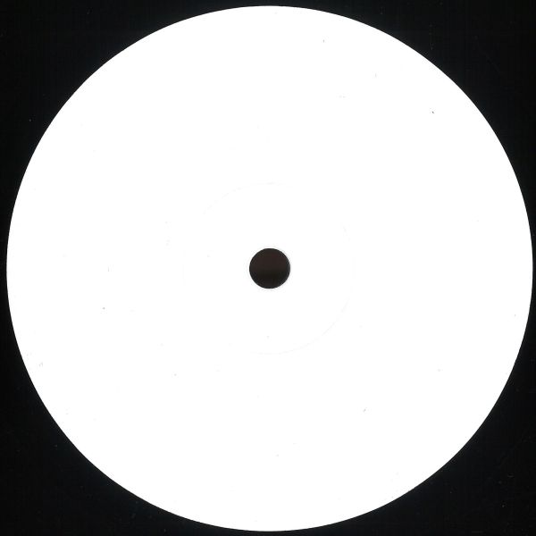 Rico Puestel — Endless Summer vinyl cover