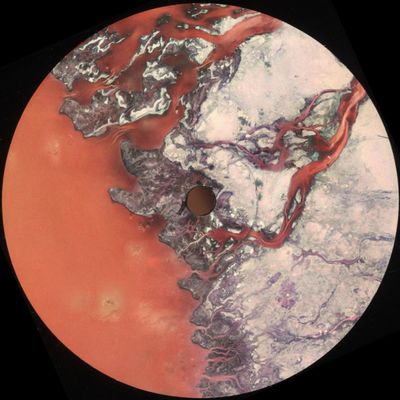 Various — IIXXII vinyl cover