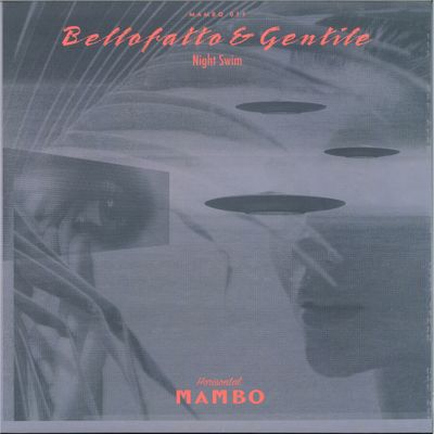 Bellofratto, Gentile — Night Swim LP vinyl cover