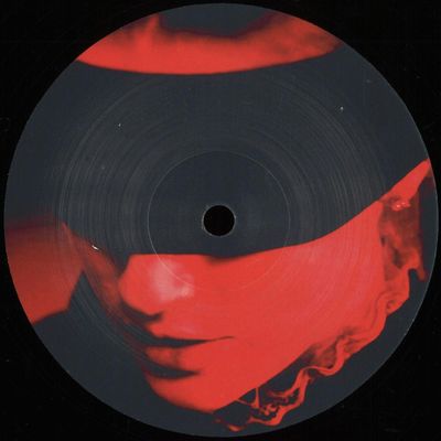 Unknown Artist — Perfect Skincleaner vinyl cover