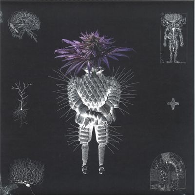 altarf, denev — 123.ro - VA04 vinyl cover