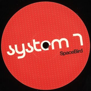 System 7 — Space Bird vinyl cover