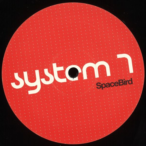 System 7 — Space Bird vinyl cover