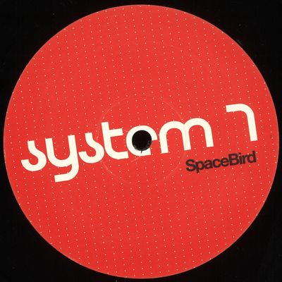 System 7 — Space Bird vinyl cover