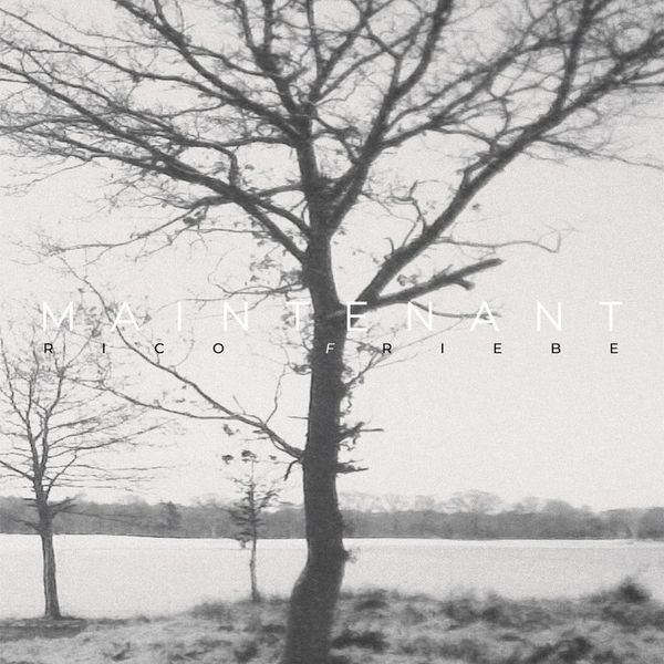 Rico Friebe — Maintenant (LP) vinyl cover
