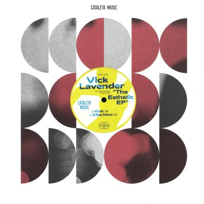 Vick Lavender — The Esthetic EP vinyl cover