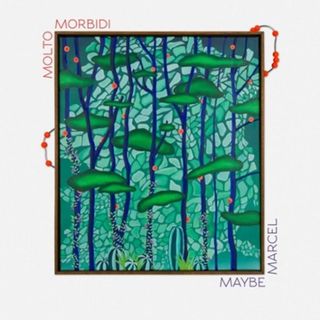 molto morbidi — Maybe Marcel (LP) vinyl cover