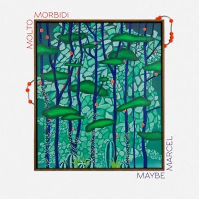 molto morbidi — Maybe Marcel (LP) vinyl cover