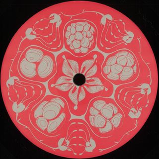 Framboisier — Planetary Vision EP vinyl cover