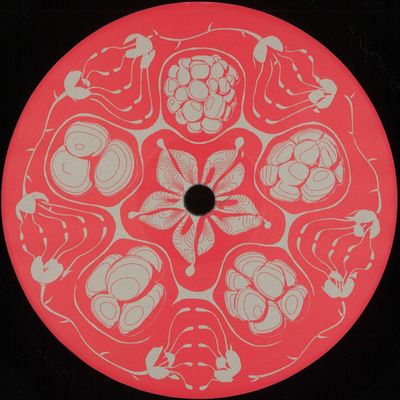 Framboisier — Planetary Vision EP vinyl cover