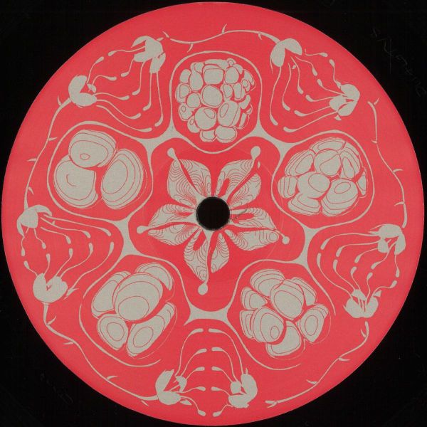 Framboisier — Planetary Vision EP vinyl cover
