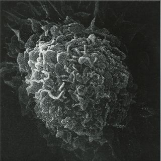 Kashpitzky — Romantic & Dead 2x12" vinyl cover