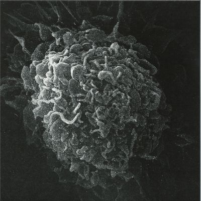 Kashpitzky — Romantic & Dead 2x12" vinyl cover
