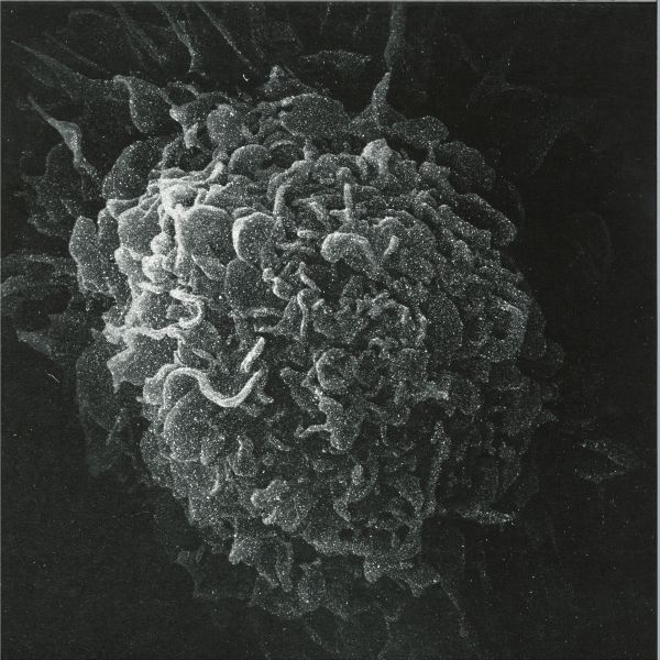 Kashpitzky — Romantic & Dead 2x12" vinyl cover