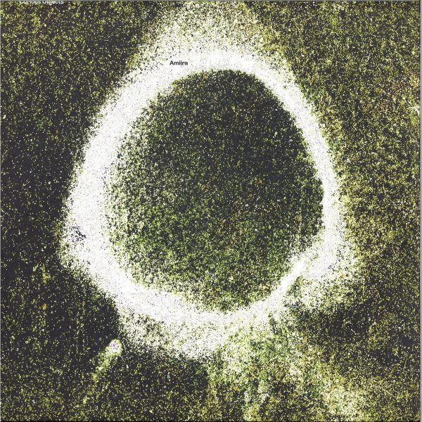 Amiira — Curious Objects vinyl cover