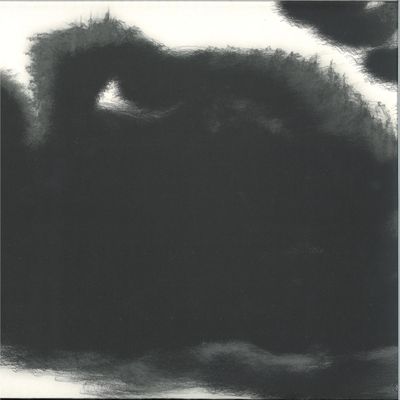 Rafael Anton Irisarri — Points of Inaccessibility vinyl cover