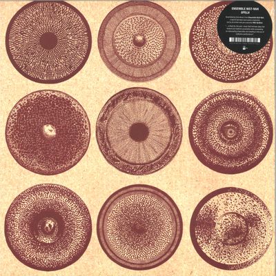 Ensemble Nist-Nah — Spilla LP vinyl cover