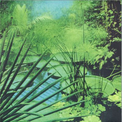 Uvx — Elevator vinyl cover