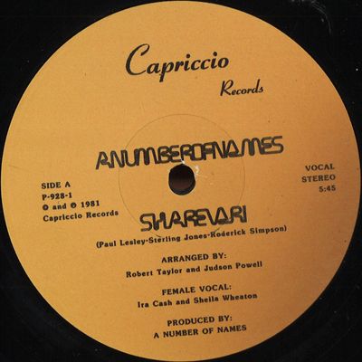 A Number Of Names — Sharevari EP vinyl cover