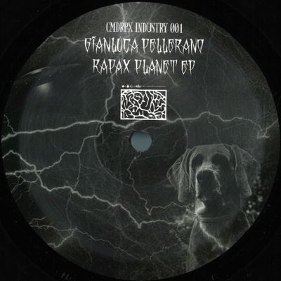 Gianluca Pellerano — Rapax Planet EP vinyl cover