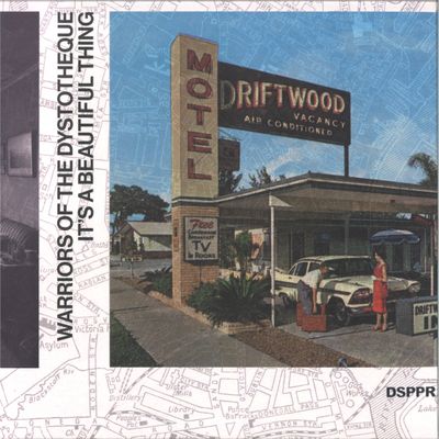 Warriors Of The Dystotheque — It's A Beautiful Thing LP vinyl cover
