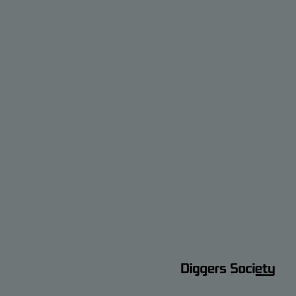 The Analogue Cops — CH In A Gipsy World (12" + 10") vinyl cover