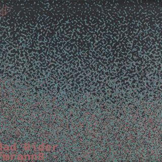Mad Rider — Fmrann8 vinyl cover
