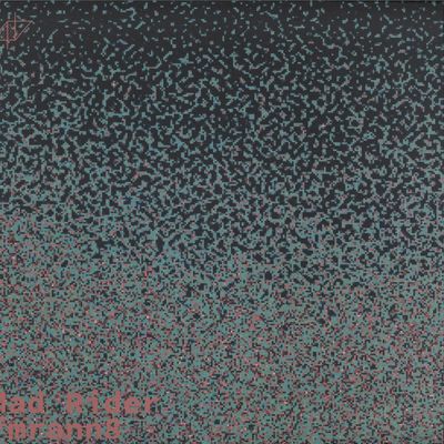 Mad Rider — Fmrann8 vinyl cover