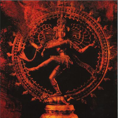 Sasha Pervukhin — Destroyed Illusions LP vinyl cover
