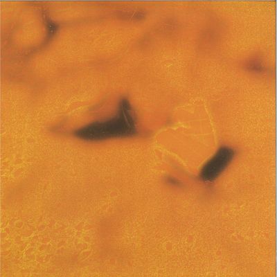 Trssx — A Mass Deliberately Deprives Itself of Reason vinyl cover